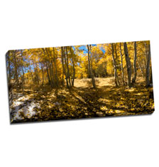Image of Photos on Canvas 36 x 18 Gallery Wrap Canvas