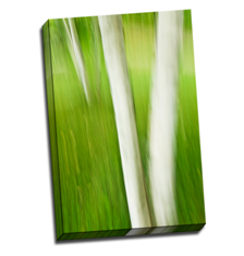 Image of Photos on Canvas 16 x 24 Gallery Wrap Canvas