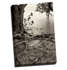 Image of Photos on Canvas 20 x 30 Gallery Wrap Canvas