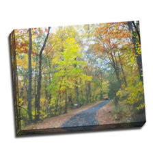 Image of Photos on Canvas 20 x 16 Gallery Wrap Canvas