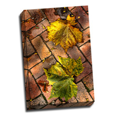 Image of Photos on Canvas 12 x 18 Gallery Wrap Canvas