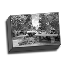 Image of Photos on Canvas 9 x 6 Gallery Wrap Canvas