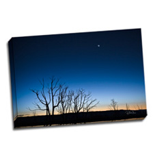 Image of Photos on Canvas 24 x 16 Gallery Wrap Canvas