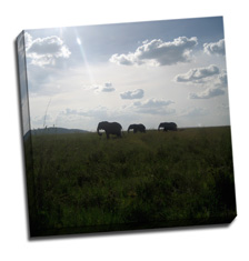Image of Photos on Canvas 20 x 20 Gallery Wrap Canvas