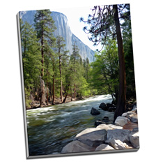 Image of Photos on Canvas 30 x 40 Gallery Wrap Canvas