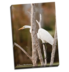 Image of Photos on Canvas 24 x 35 Gallery Wrap Canvas