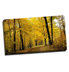 Image of Photos on Canvas 32 x 18 Gallery Wrap Canvas