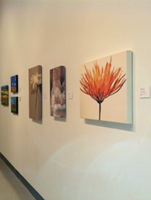 Gallery canvases by Tara Funk